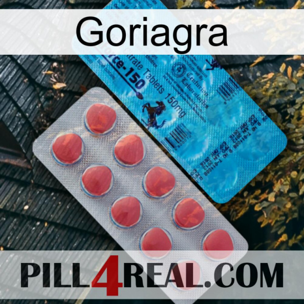 Goriagra new14.jpg